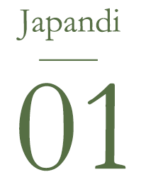 Japandi-01